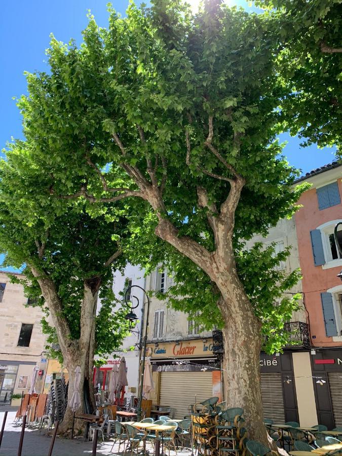 شقة Fleurs De Provence LʼIsle-sur-la-Sorgue المظهر الخارجي الصورة