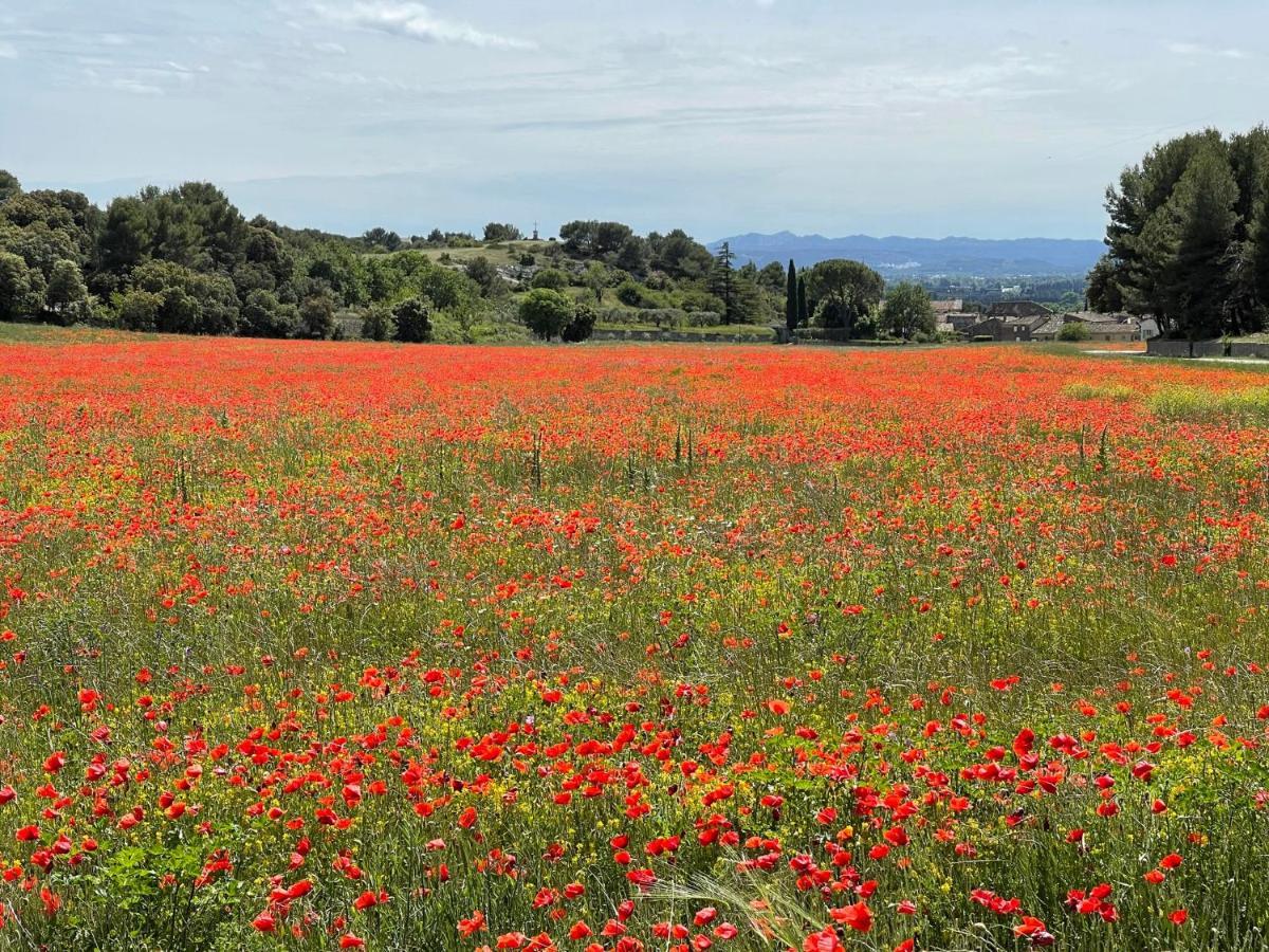 شقة Fleurs De Provence LʼIsle-sur-la-Sorgue المظهر الخارجي الصورة